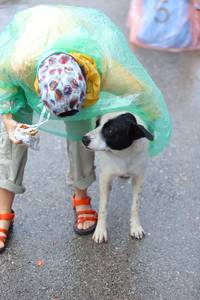 BIB: 
                            <button type="button" onclick="openModal(5745853)" class="btn btn-primary btn-sm float-right btn-popup" data-toggle="modal" data-target=".modal-high-quality">
                        <i class="fas fa-shopping-cart"></i> Add to Cart
                    </button>
                                            <button type="button" onclick="isThisMe(5745853, true)" class="btn btn-success btn-sm float-right btn-popup btn-isme hidden" data-toggle="tooltip" data-placement="bottom" title="นี่คือรูปของคุณใช่ไหม คลิกที่นี่เพื่อเอาเข้าอัลบั้ม">
                        <i class="fas fa-plus"></i> Add to album
                    </button>
                    <button type="button" onclick="isThisMe(5745853, false)" class="btn btn-warning btn-sm float-right btn-popup btn-isnotme hidden">
                        <i class="fas fa-ban"></i> Remove from album
                    </button>